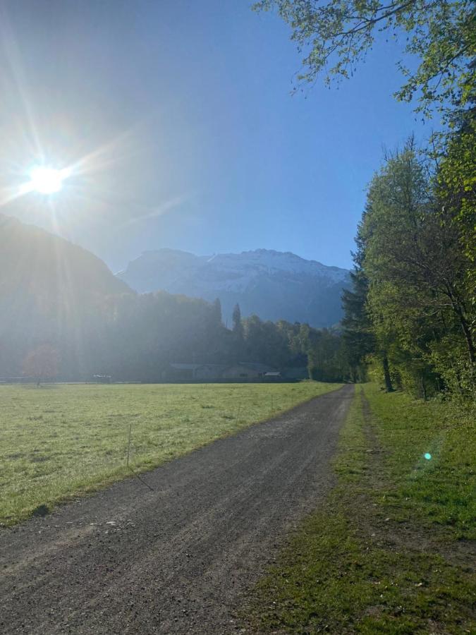 Appartement Rez-De-Chaussee, Cosy T3 4 A 6 Pers Avec Piscines Interieure & Exterieure A Samoens En Haute-Savoie Exterior foto